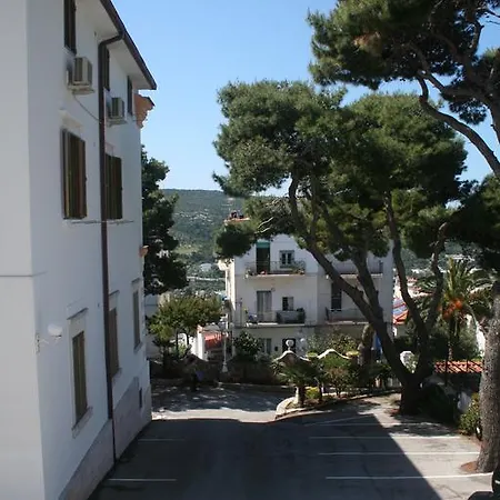 Hotel Timiama