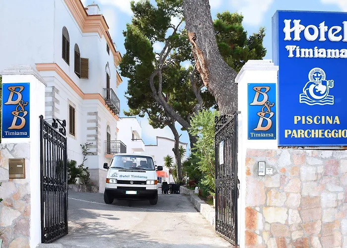 Timiama מלון פסקיצ'י