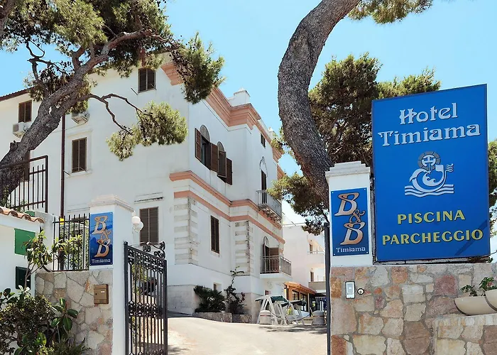 Timiama 3*