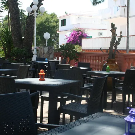 Hotel Timiama