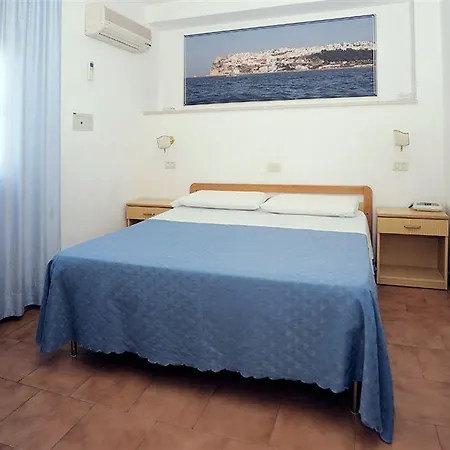 Timiama Hotel 3*